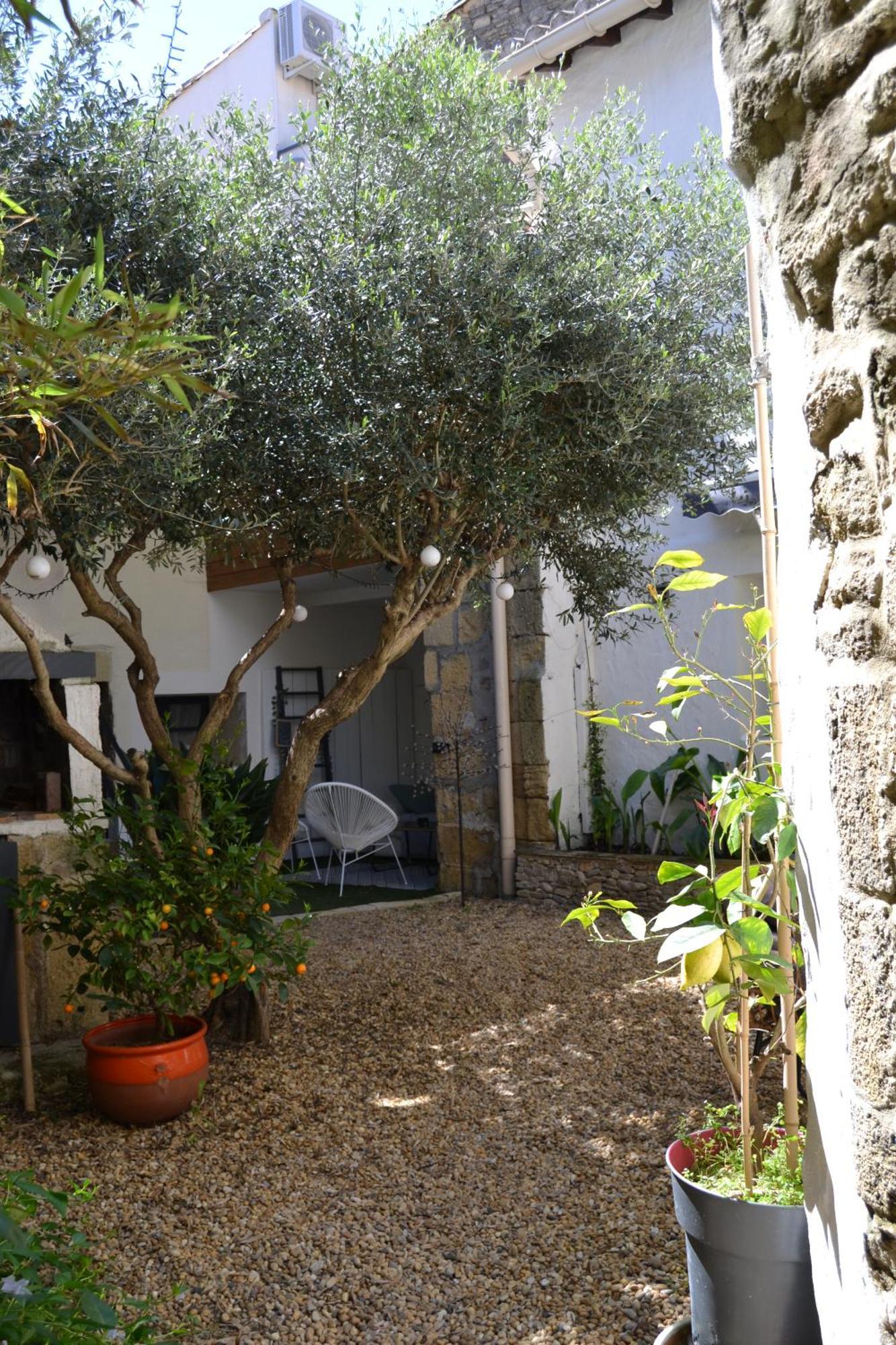 La Cachette Bed and Breakfast Aigues-Vives  Buitenkant foto